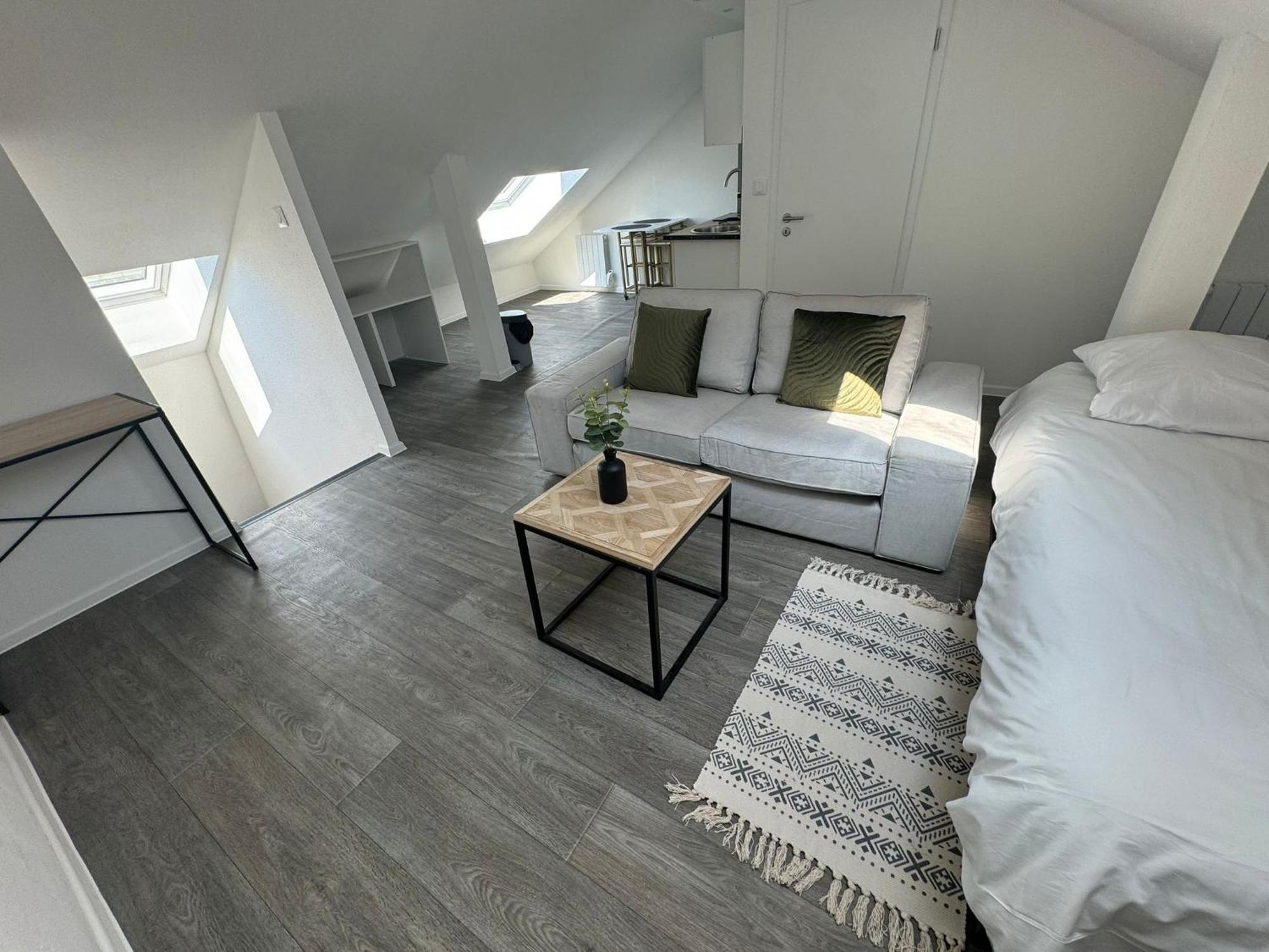 Studio Eucalyptus Charmant Elegant Et Fonctionnel Centre Ville Mulhouse Ngoại thất bức ảnh